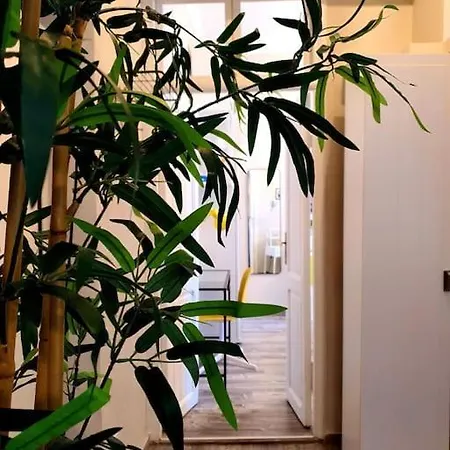 Charming House Daire Roma